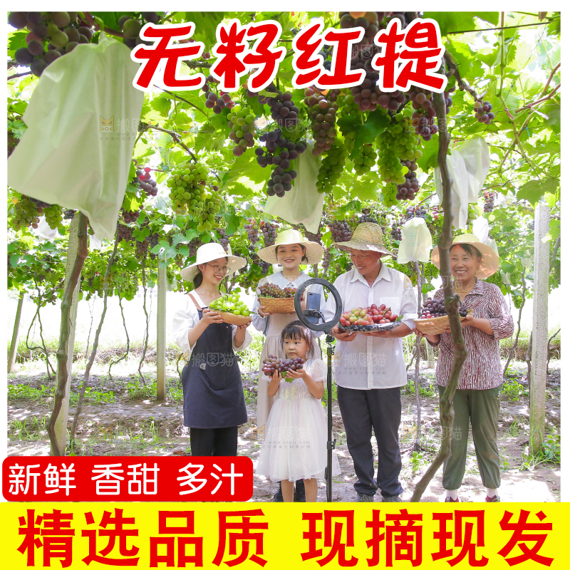 手里拿着新鲜葡萄