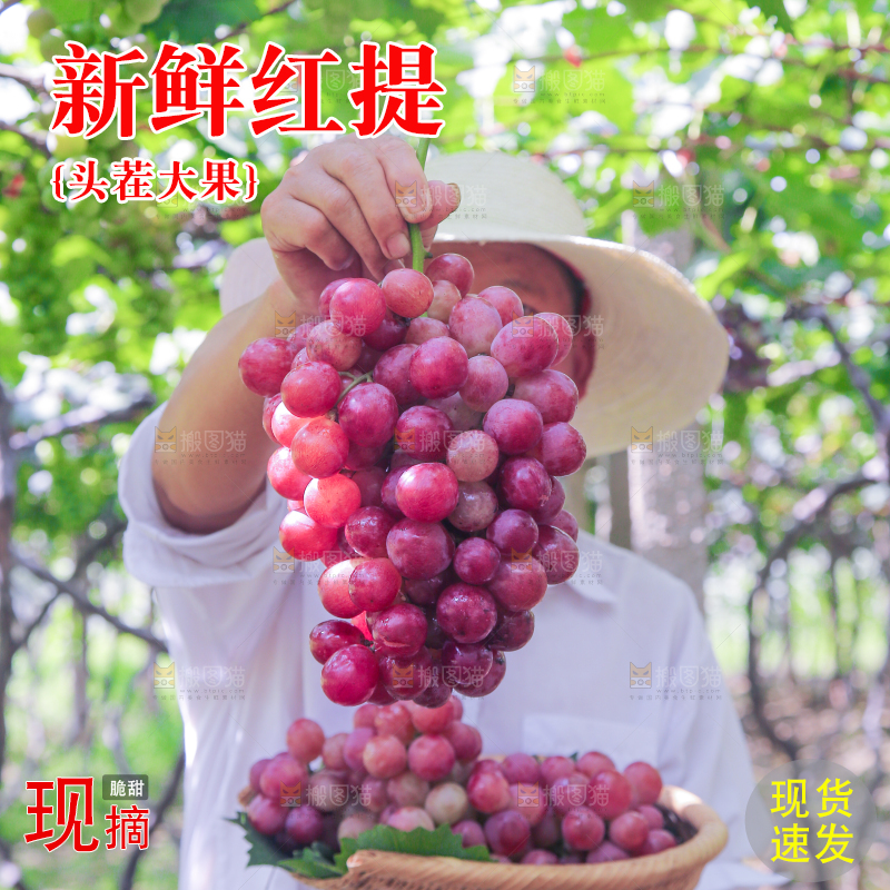 手里拿着新鲜葡萄