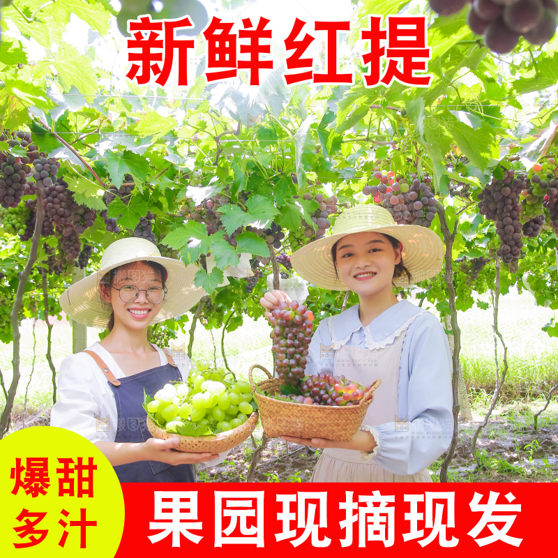 手里拿着新鲜葡萄