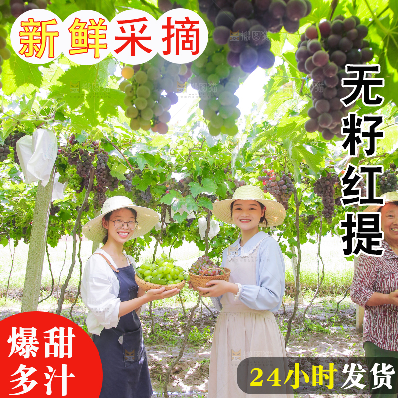 手里拿着新鲜葡萄