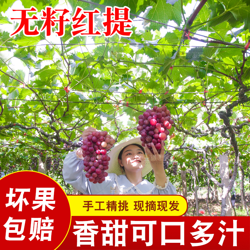 手里拿着新鲜葡萄