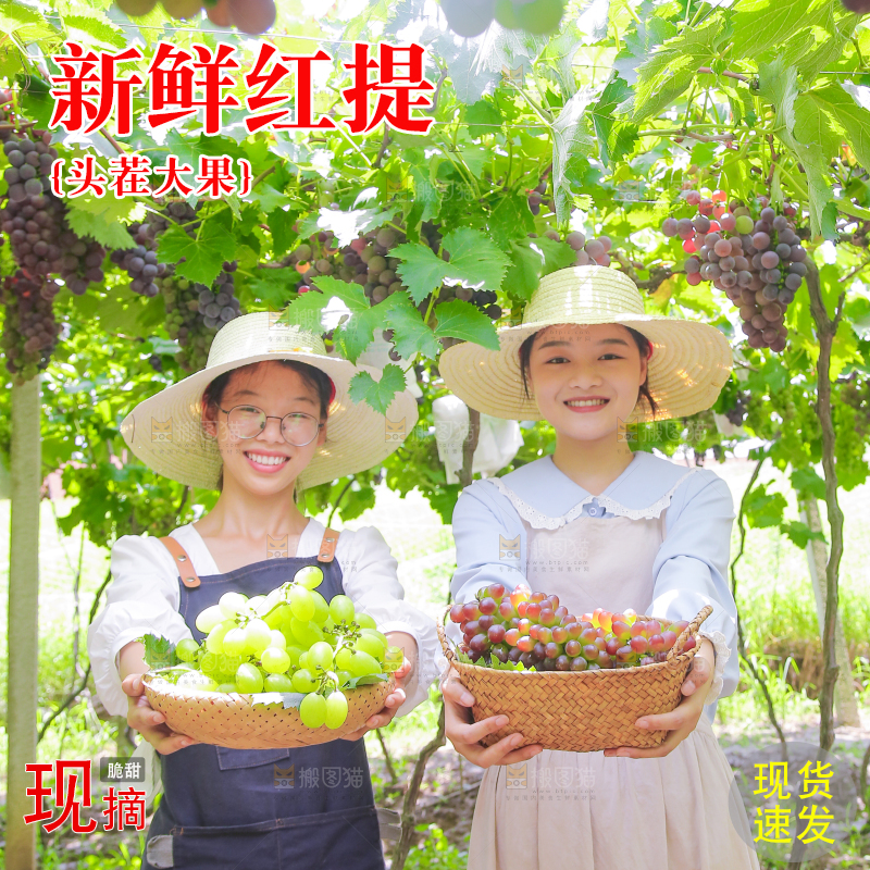 手里拿着新鲜葡萄