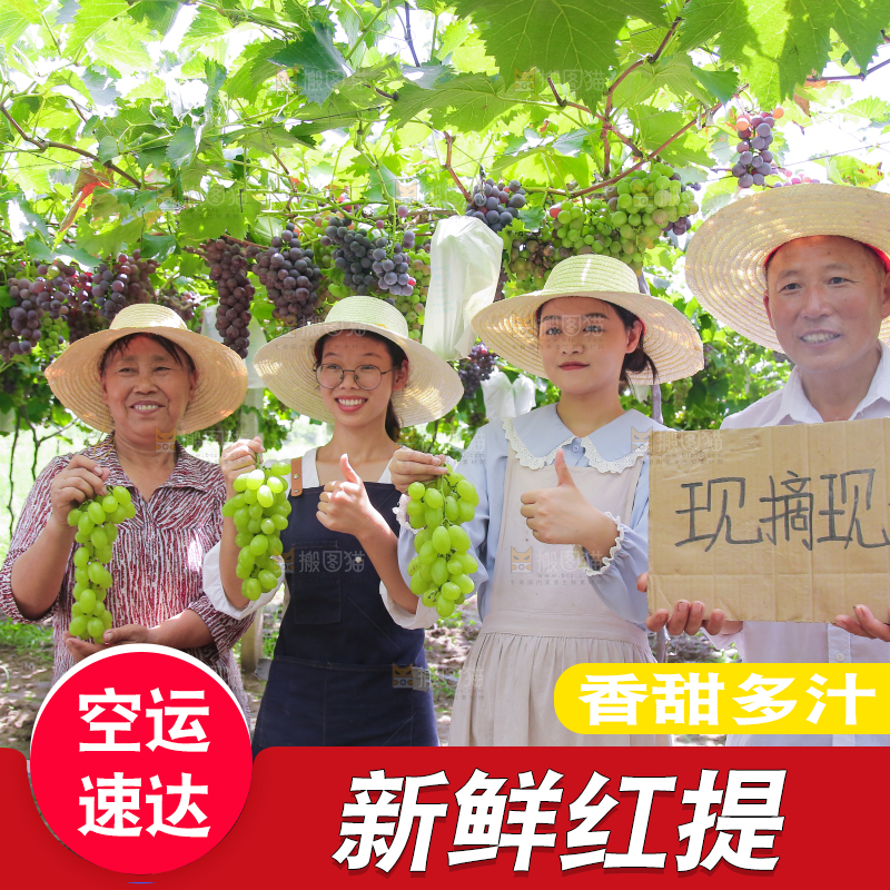 手里拿着新鲜葡萄
