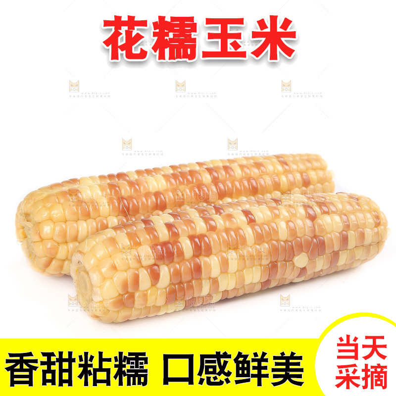 白底上的花糯玉米