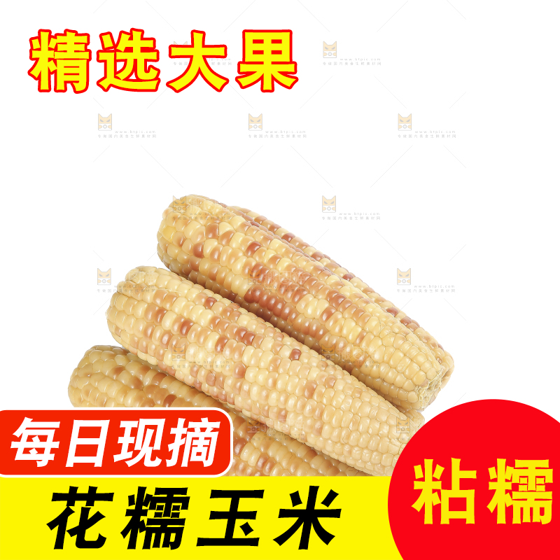 白底上的花糯玉米