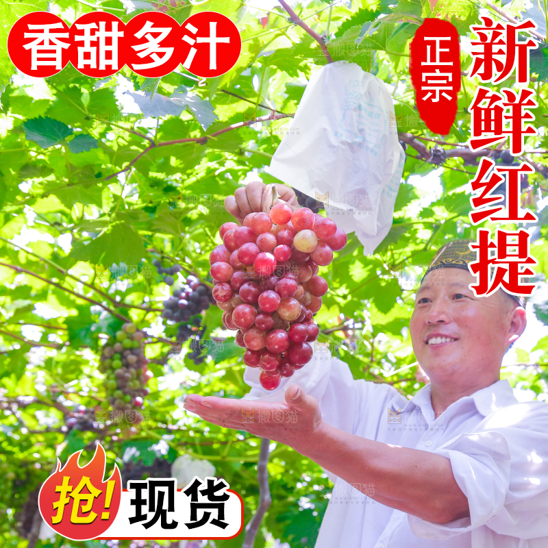 手里拿着新鲜葡萄