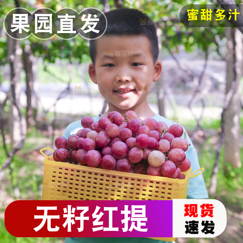 手里拿着新鲜葡萄