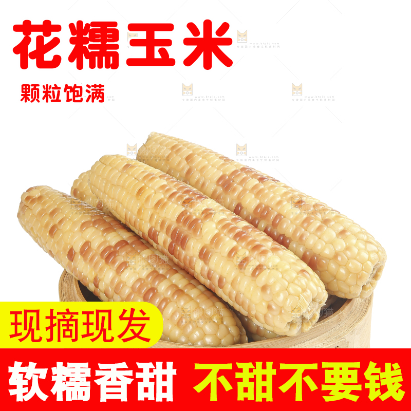 白底上的花糯玉米