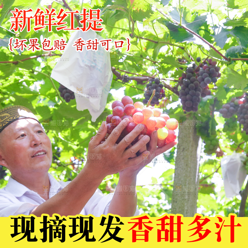 手里拿着新鲜葡萄