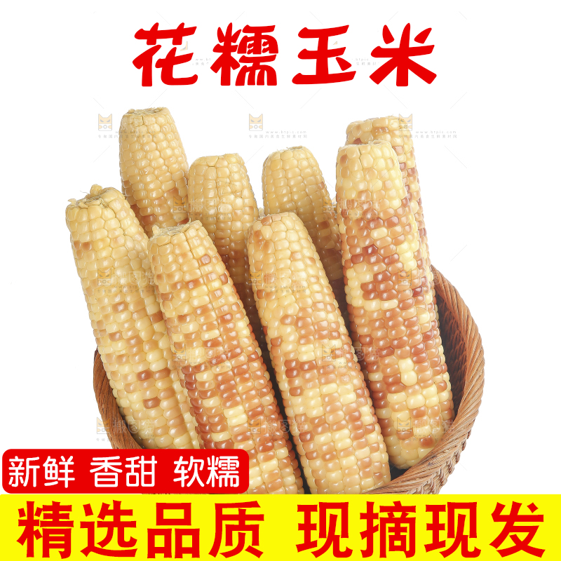 白底上的花糯玉米