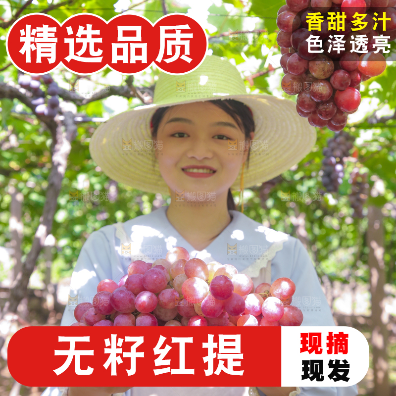 手里拿着新鲜葡萄