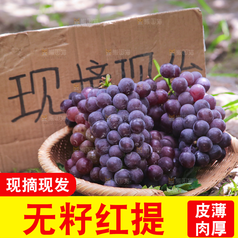手里拿着新鲜葡萄