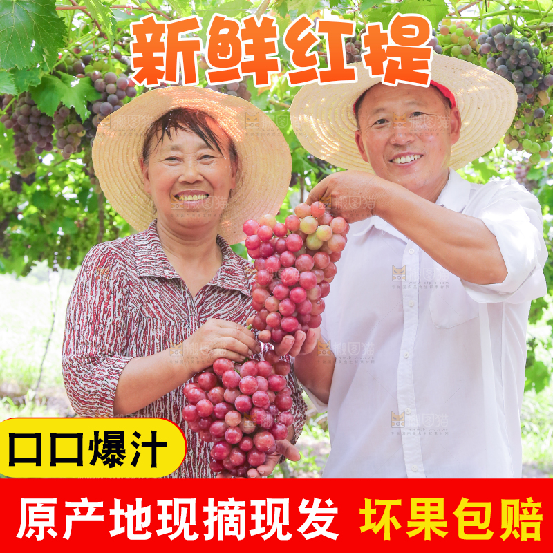 手里拿着新鲜葡萄