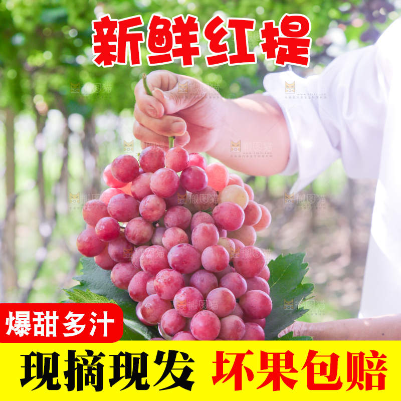 手里拿着新鲜葡萄