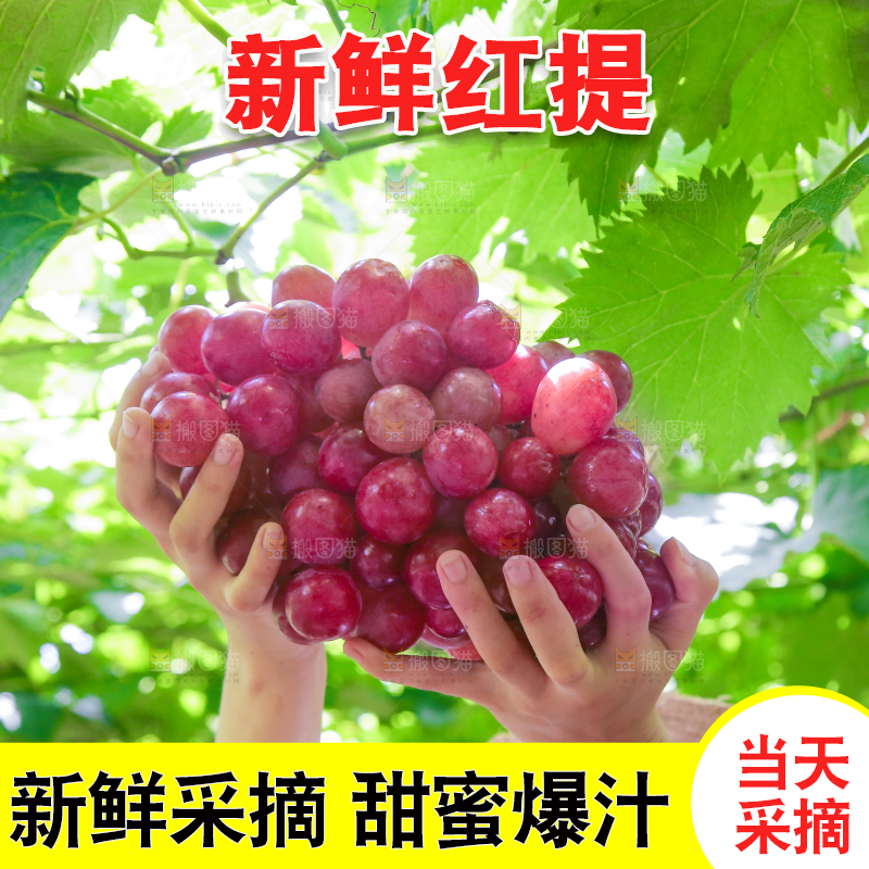 手里拿着新鲜葡萄