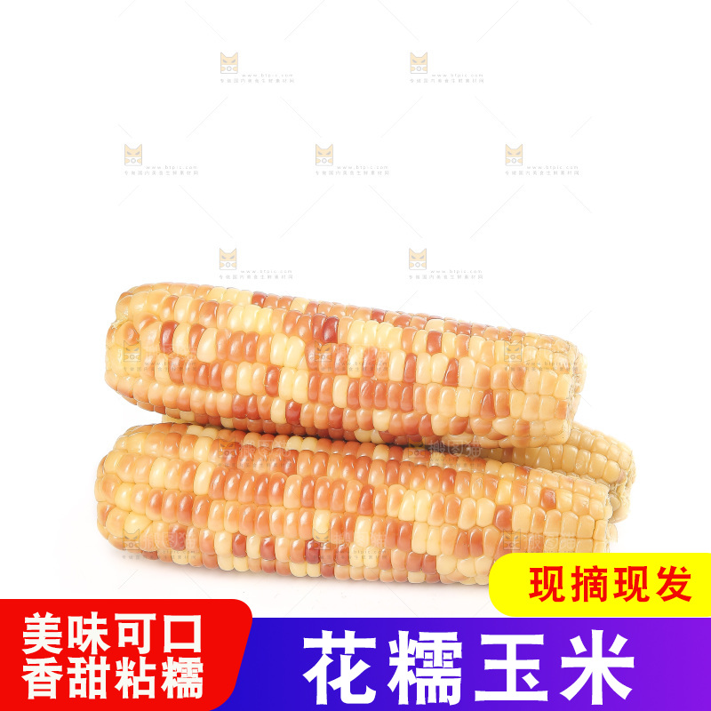 白底上的花糯玉米