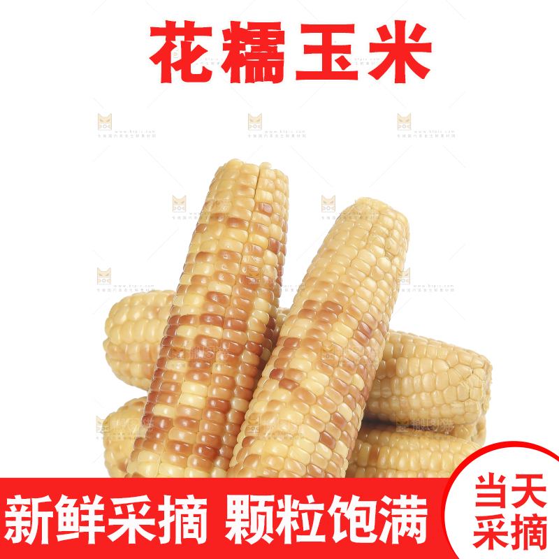 白底上的花糯玉米