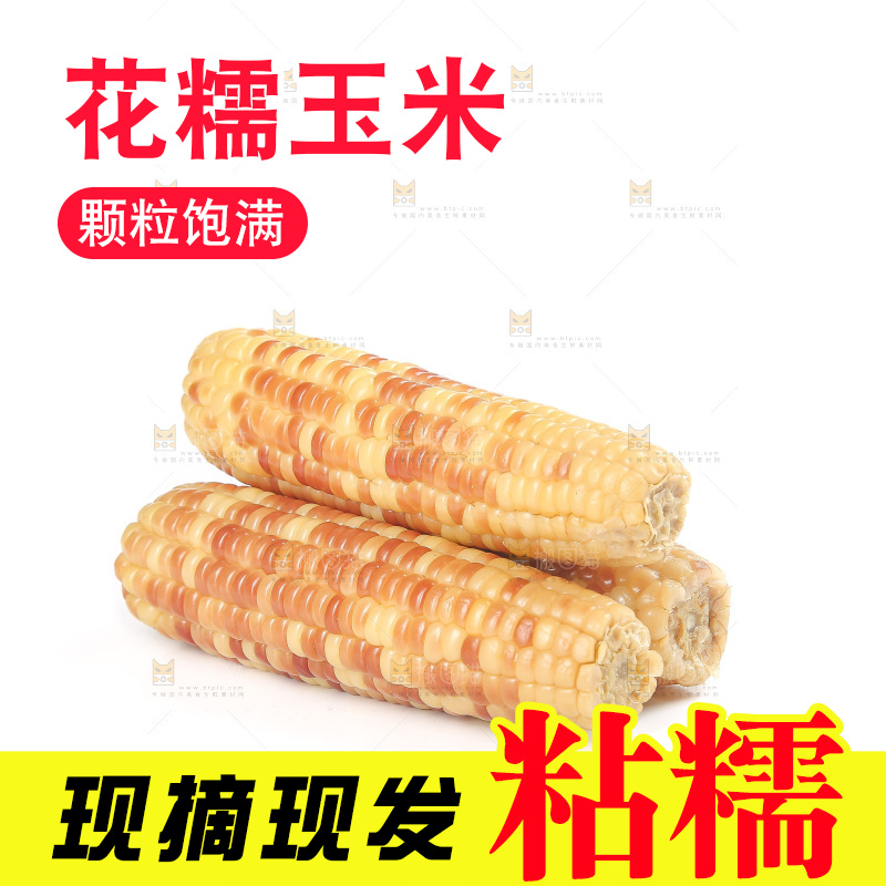 白底上的花糯玉米