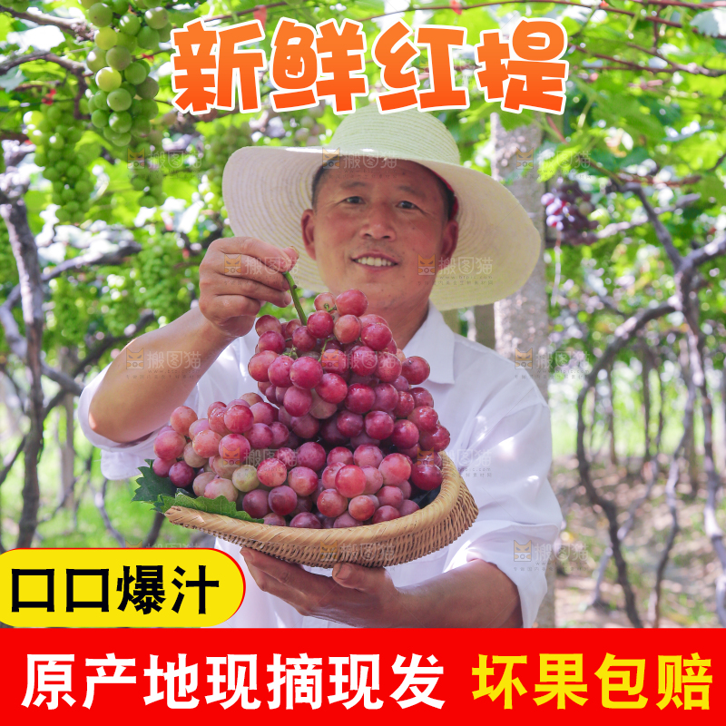 手里拿着新鲜葡萄