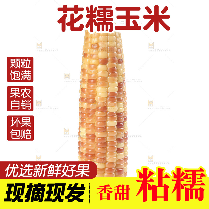 白底上的花糯玉米