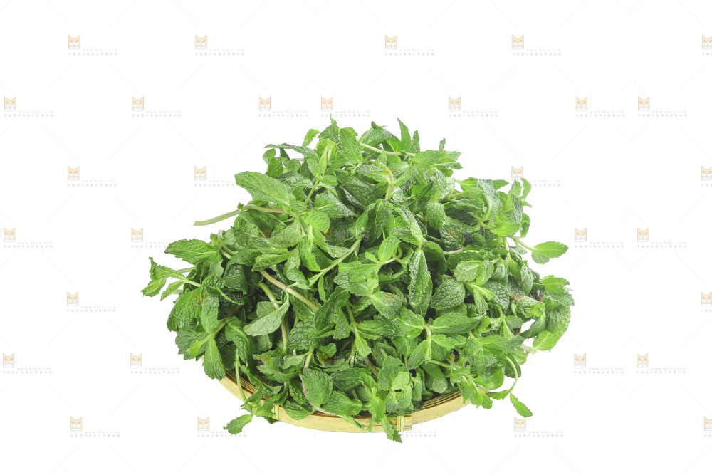 白底上的新鲜薄荷