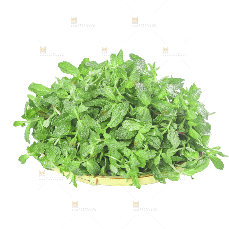 白底上的新鲜薄荷
