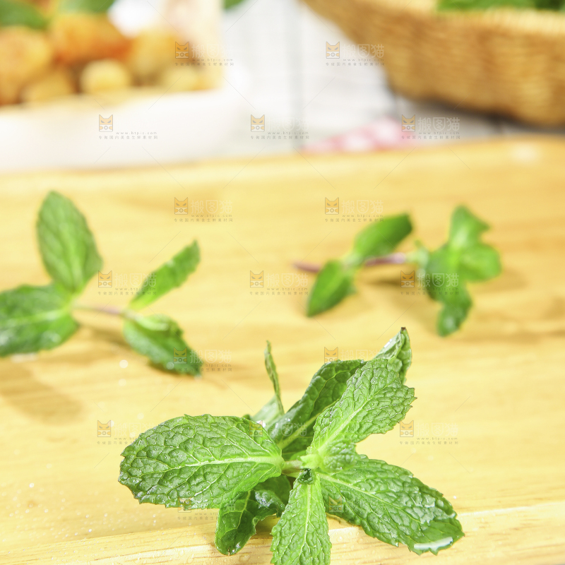 浅底上的新鲜薄荷