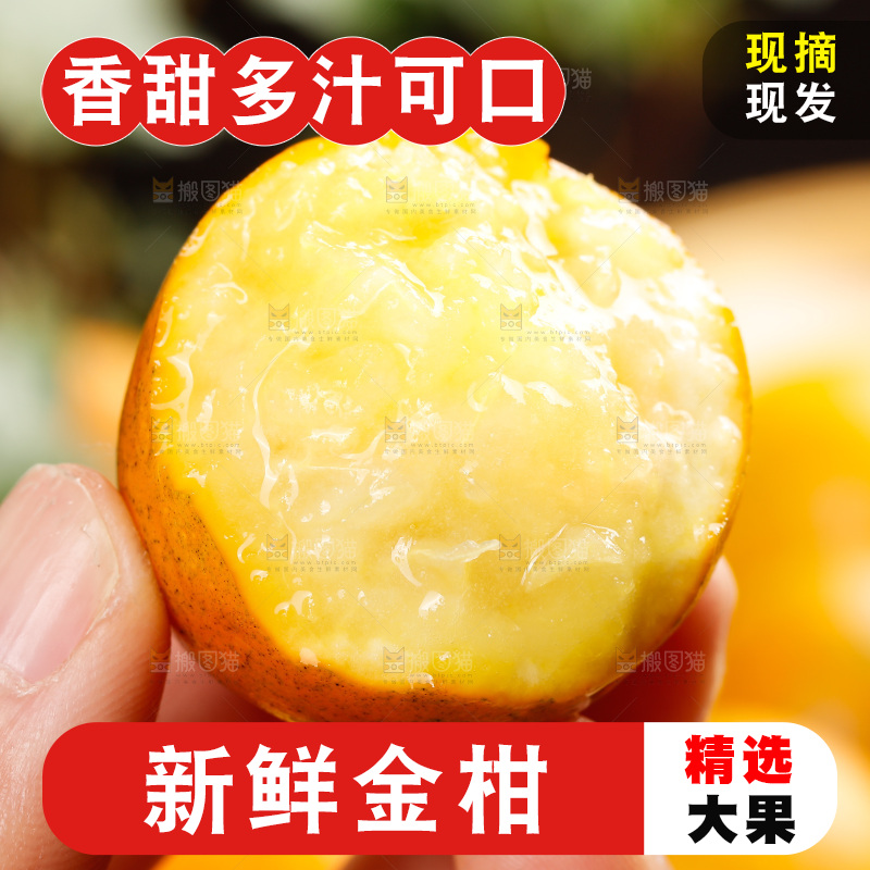 深底上的金柑