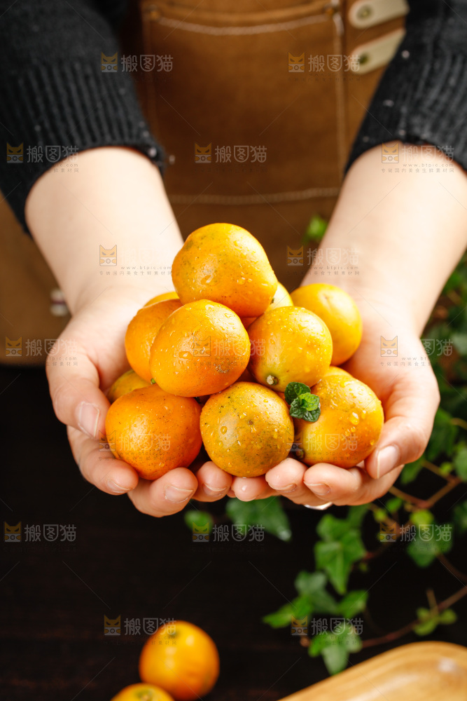 深底上的金柑