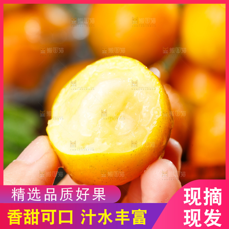 深底上的金柑