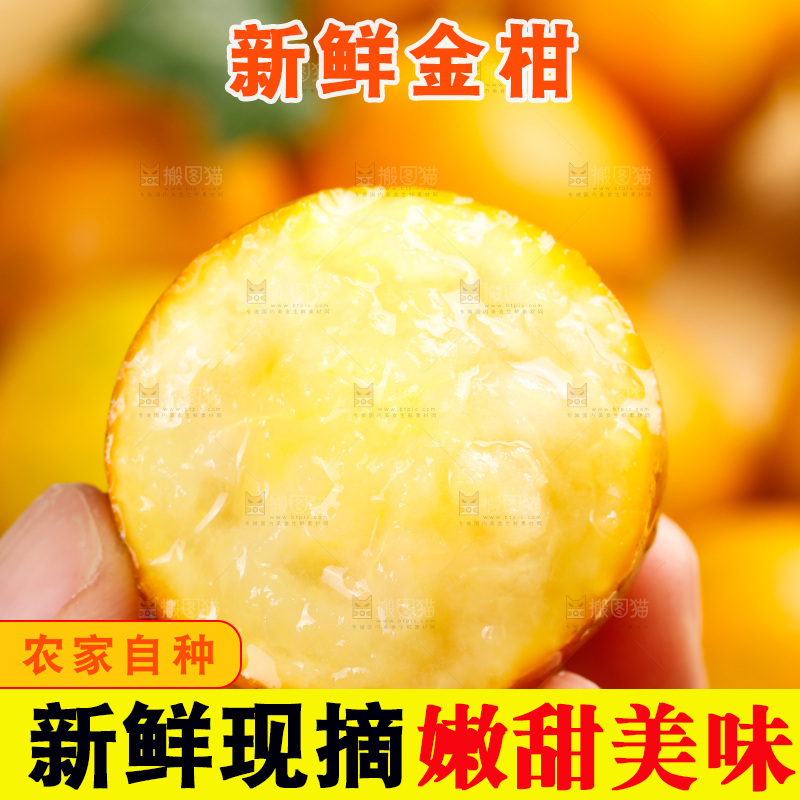 深底上的金柑
