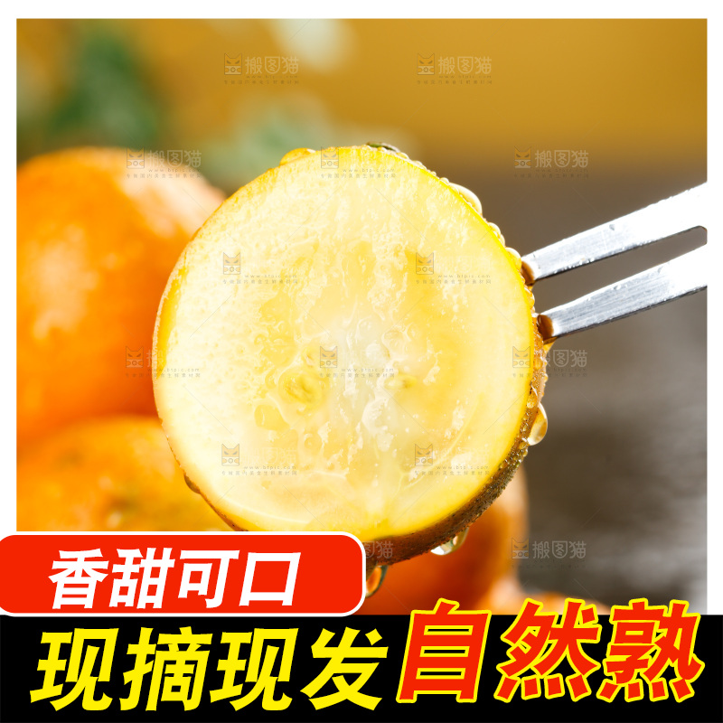 深底上的金柑