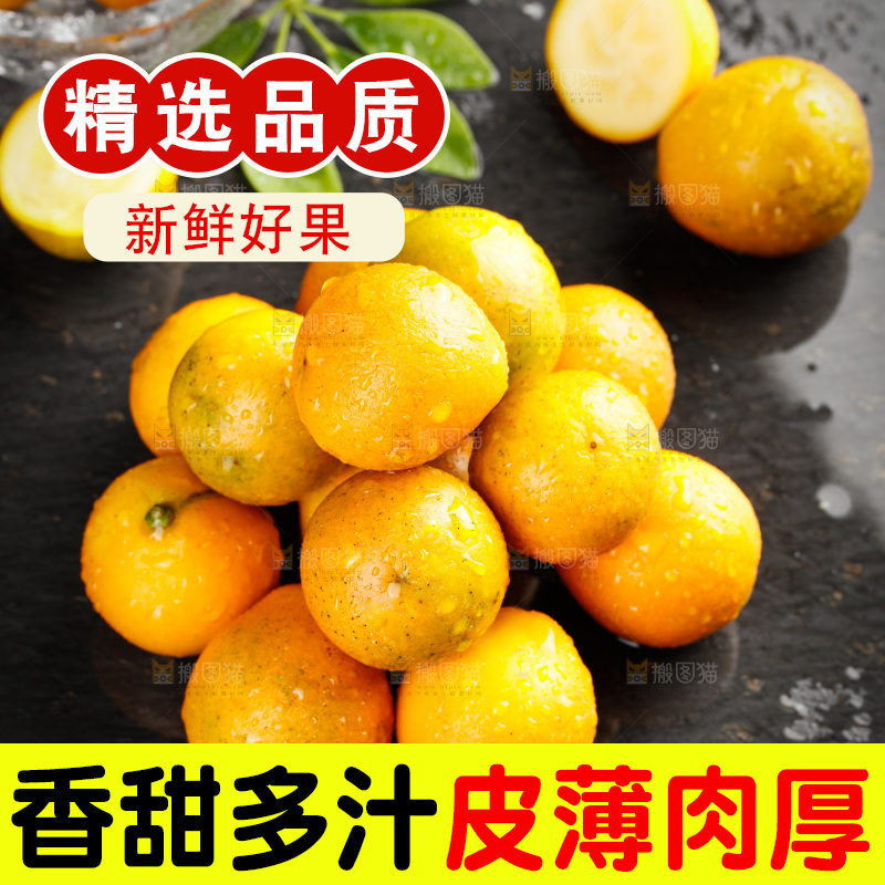 深底上的金柑