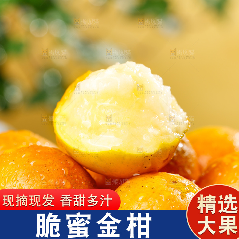 深底上的金柑