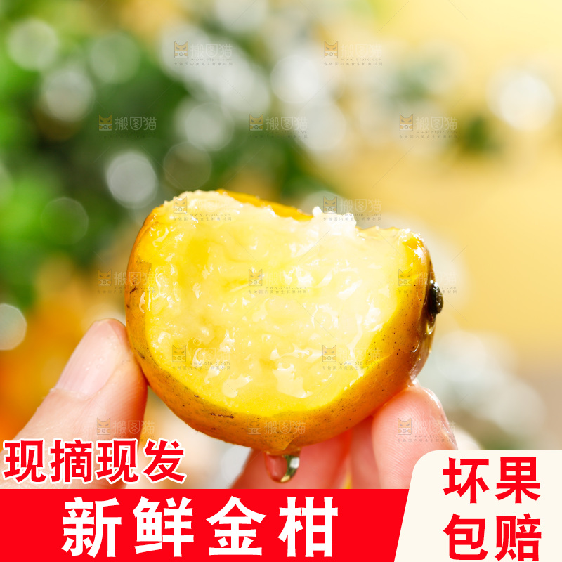 深底上的金柑
