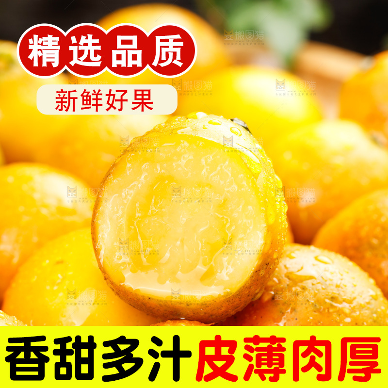 深底上的金柑