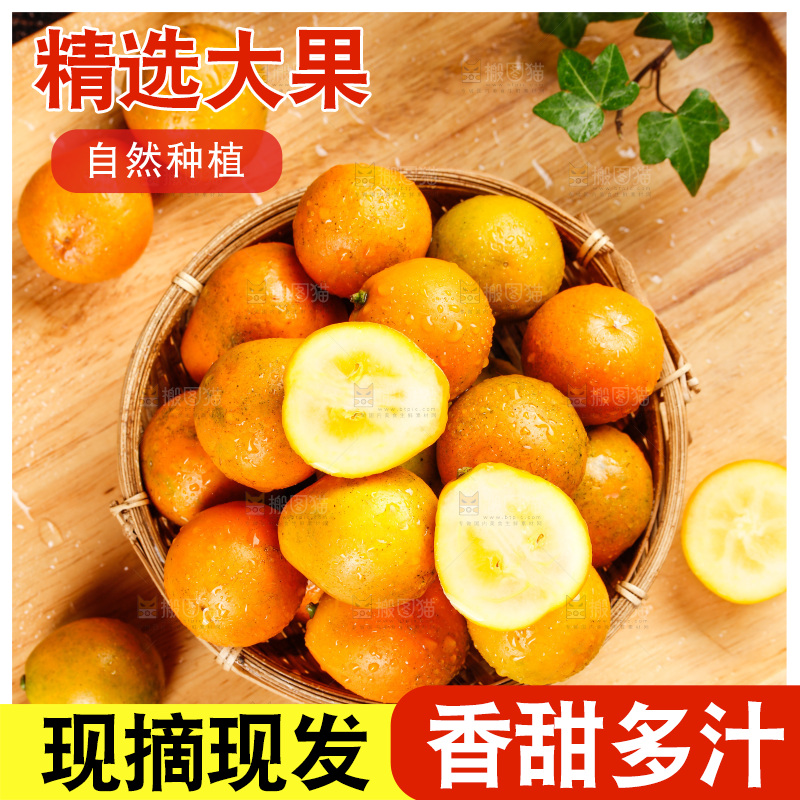 深底上的金柑