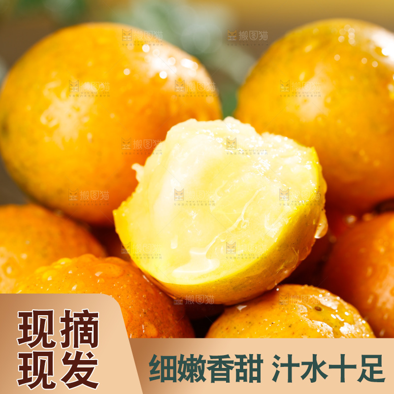 深底上的金柑