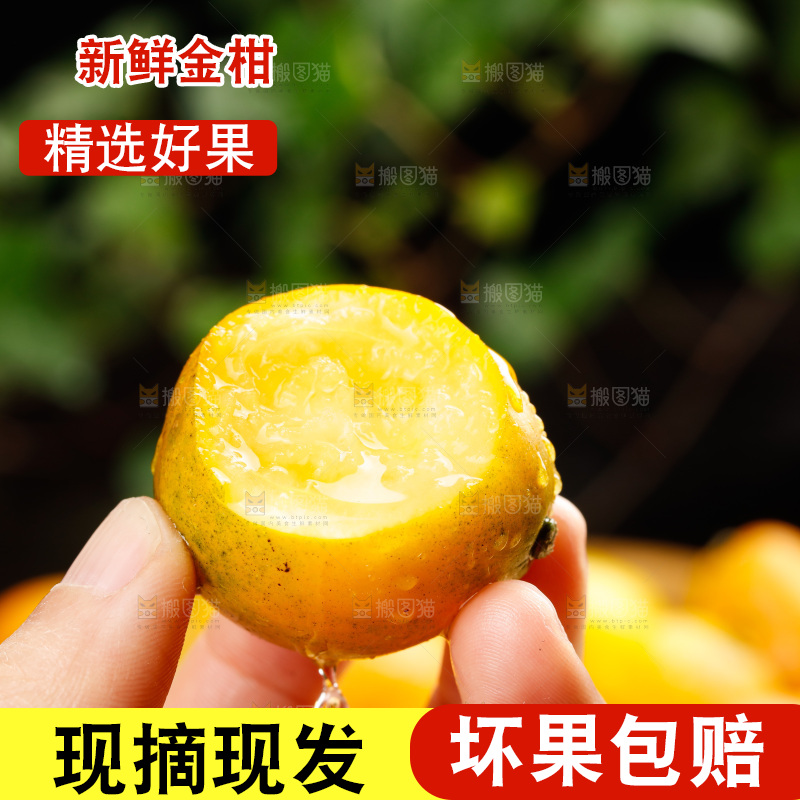 深底上的金柑