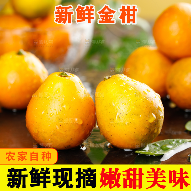 深底上的金柑