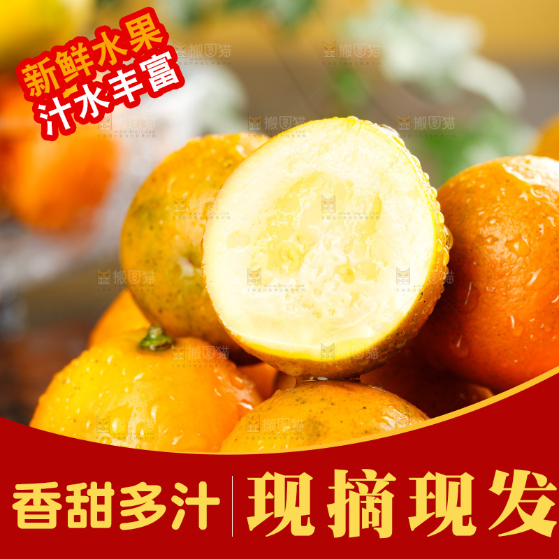 深底上的金柑