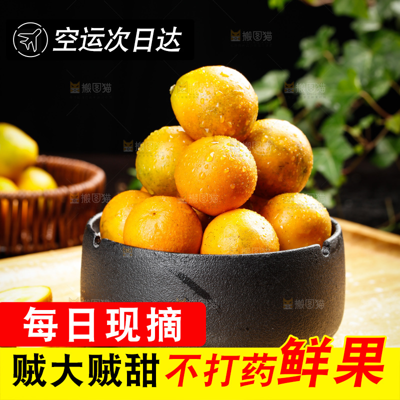 深底上的金柑