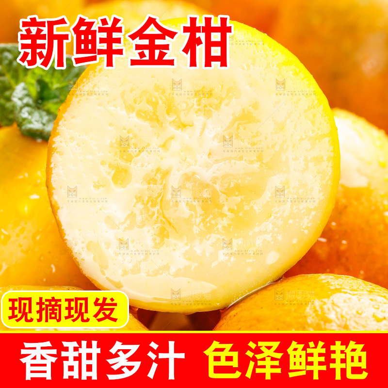 深底上的金柑