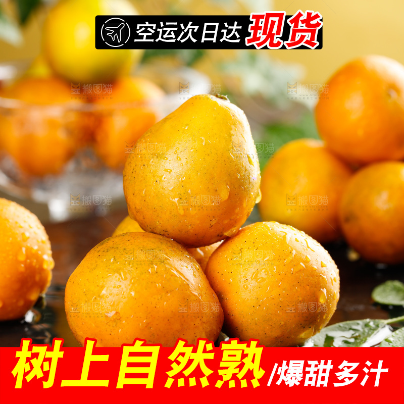 深底上的金柑