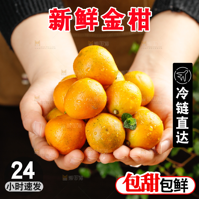 深底上的金柑