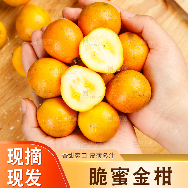 深底上的金柑