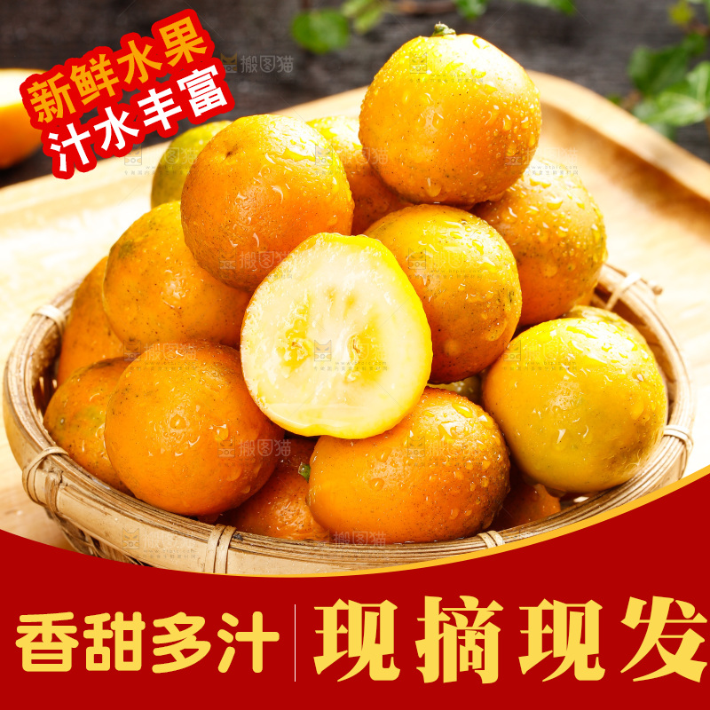 深底上的金柑