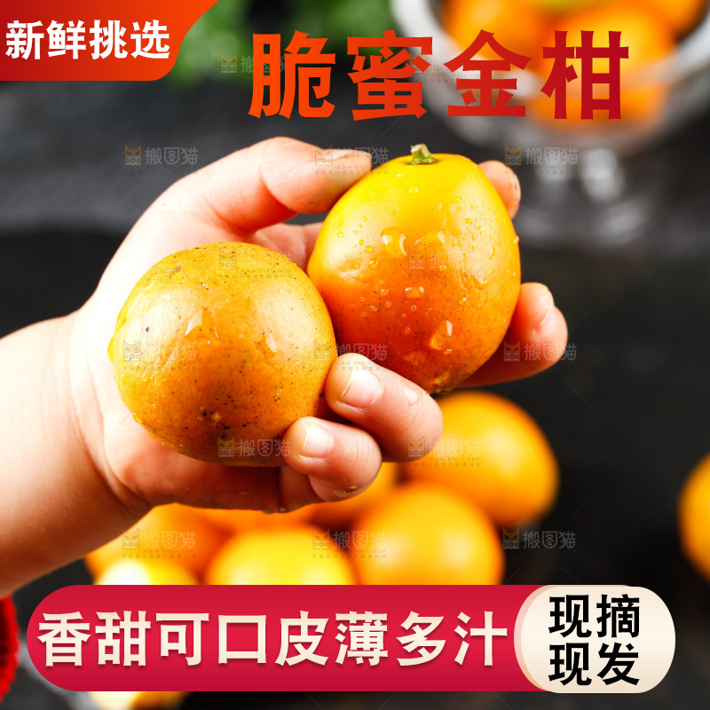 深底上的金柑