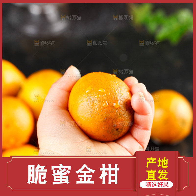 深底上的金柑