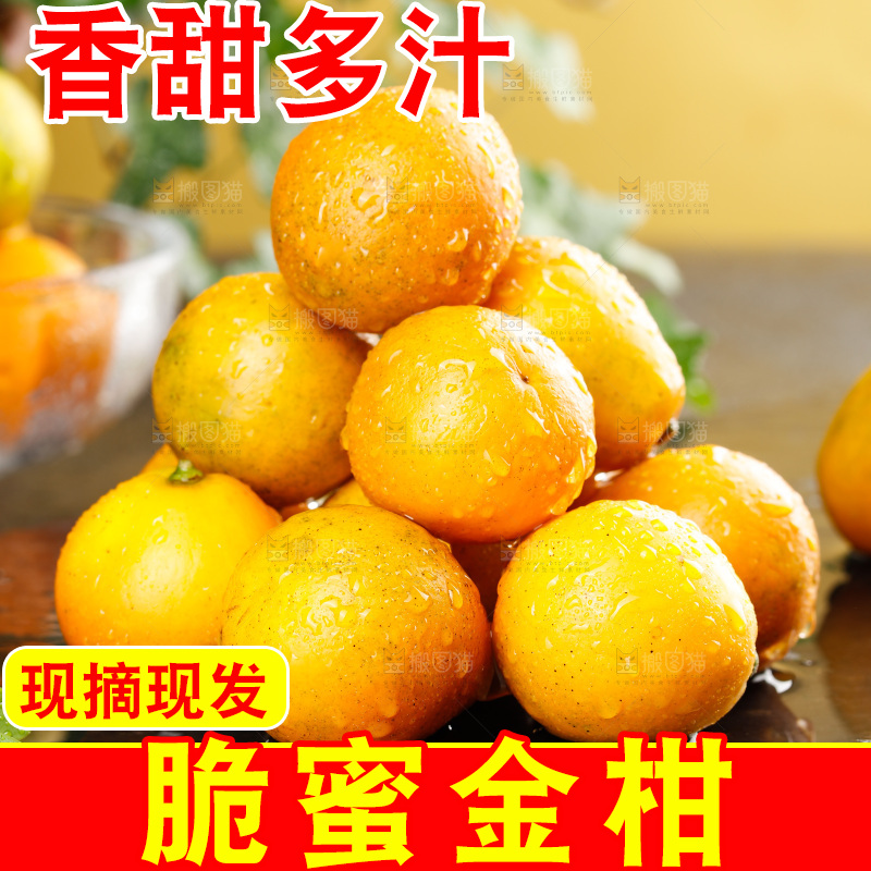 深底上的金柑